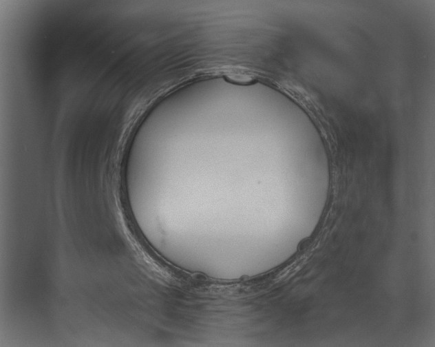 X0000073870049200608241145