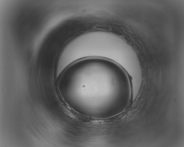 X0000073870052200608241145