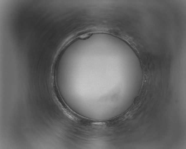 X0000073870053200608241145