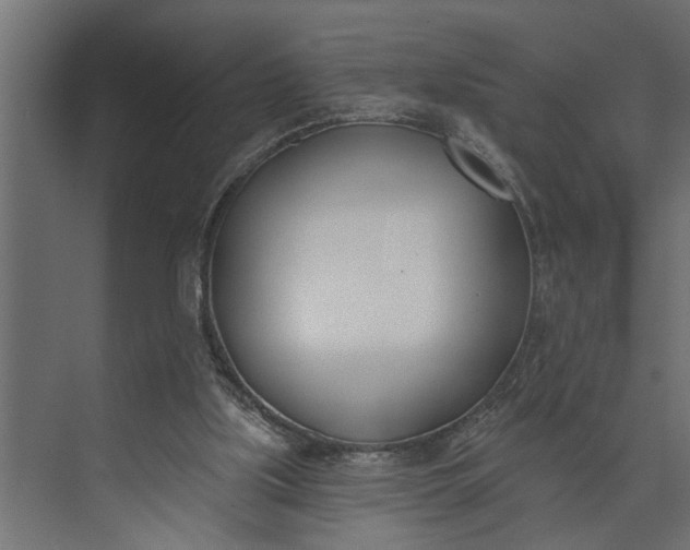 X0000073870059200608241145