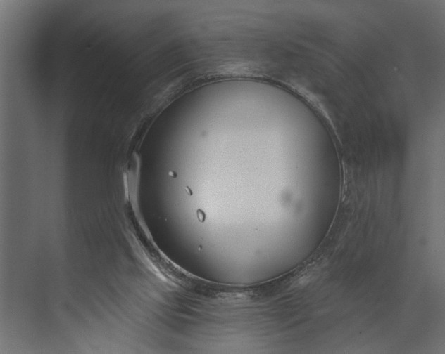 X0000073870061200608241145