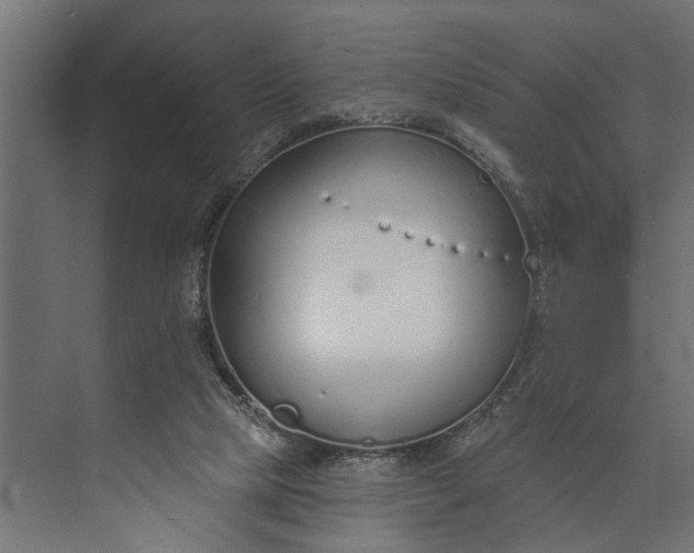 X0000073870065200608241145