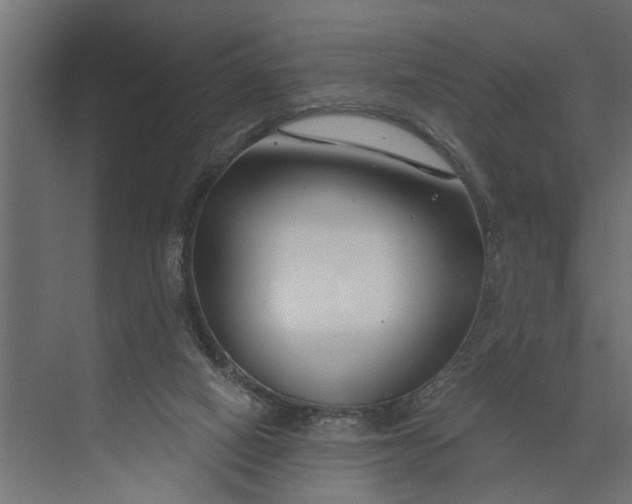 X0000073870066200608241145