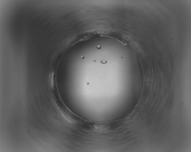 X0000073870070200608241145