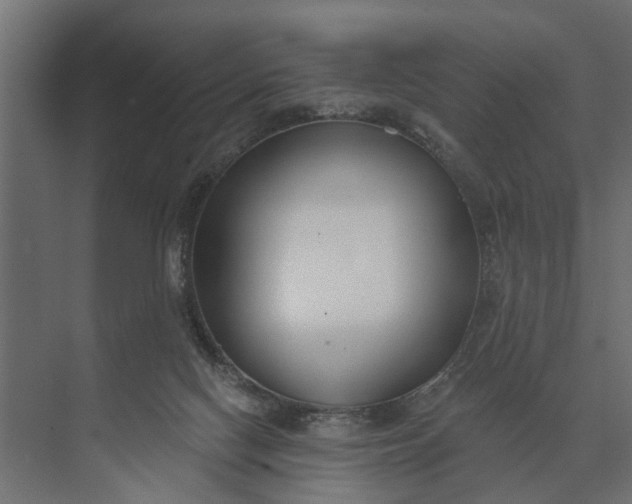 X0000073870074200608241145