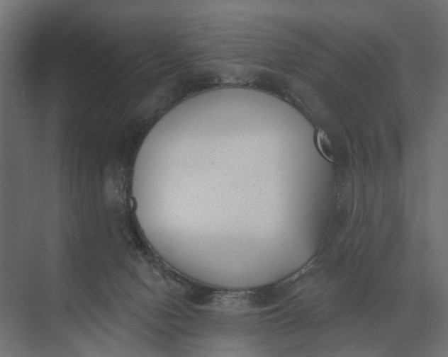 X0000073870078200608241145