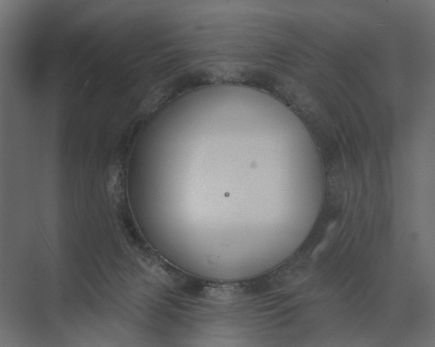 X0000073870079200608241145