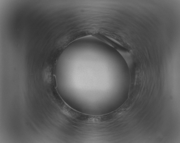 X0000073870080200608241145