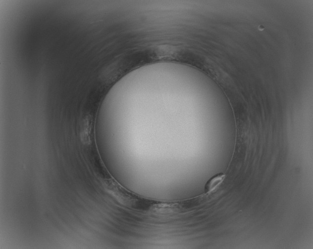 X0000073870082200608241145