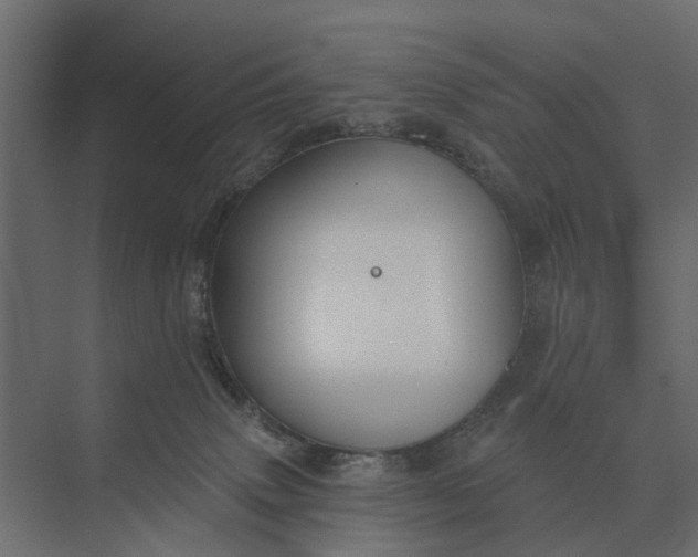 X0000073870083200608241145