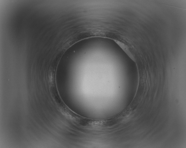 X0000073870084200608241145