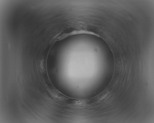 X0000073870088200608241145