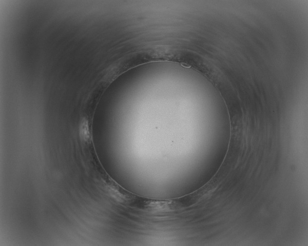 X0000073870089200608241146