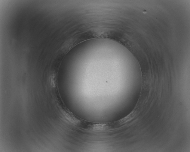 X0000073870090200608241146