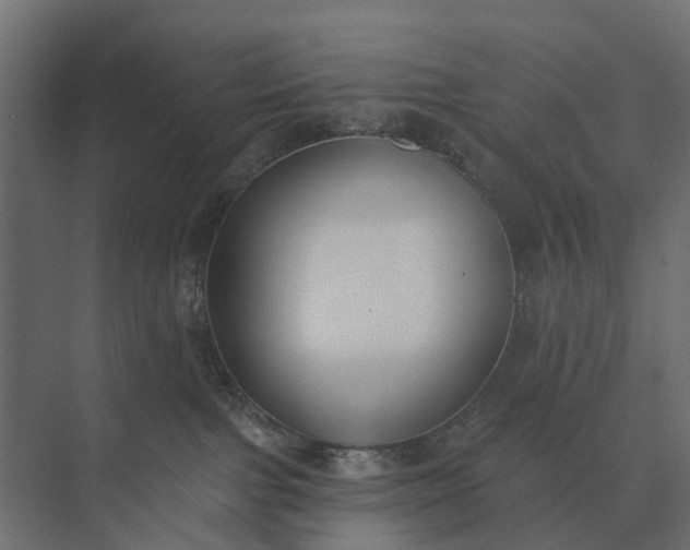 X0000073870091200608241146