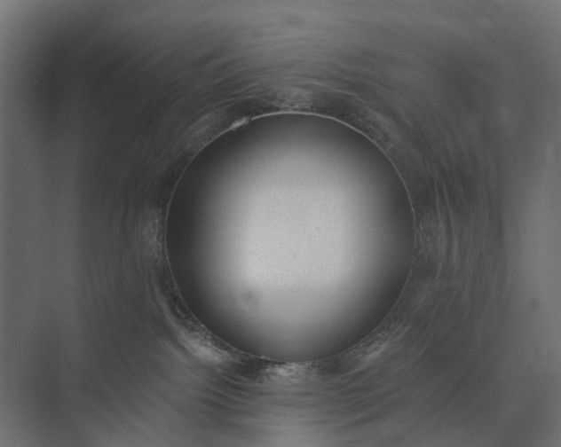 X0000073870092200608241146