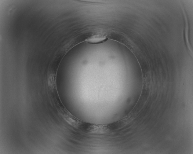 X0000073870093200608241146