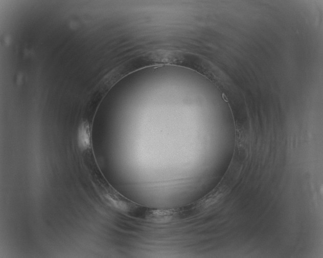 X0000073870095200608241146