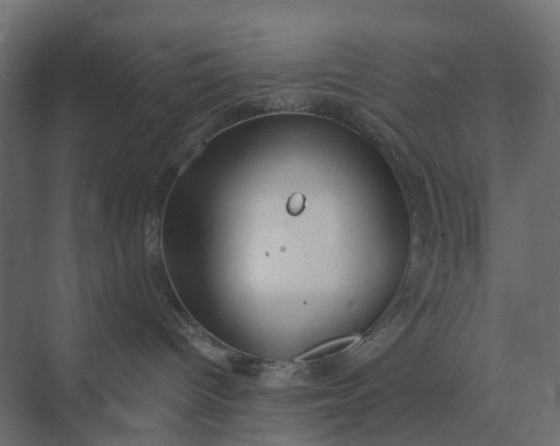 X0000073870096200608241146