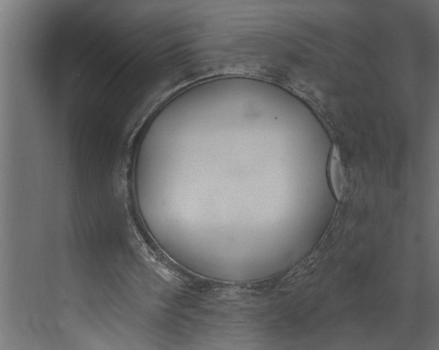 X0000073870098200608241145