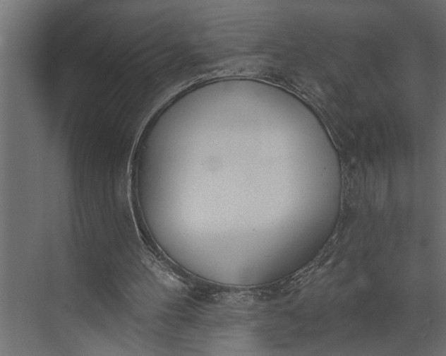 X0000073870100200608241145