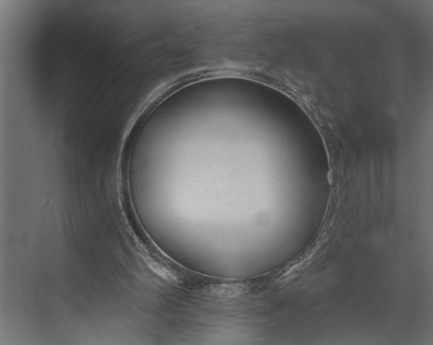 X0000073870102200608241145