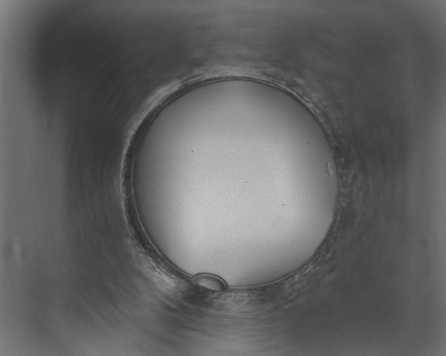 X0000073870104200608241145