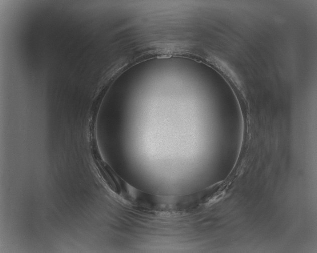 X0000073870105200608241145