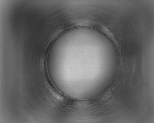 X0000073870106200608241145