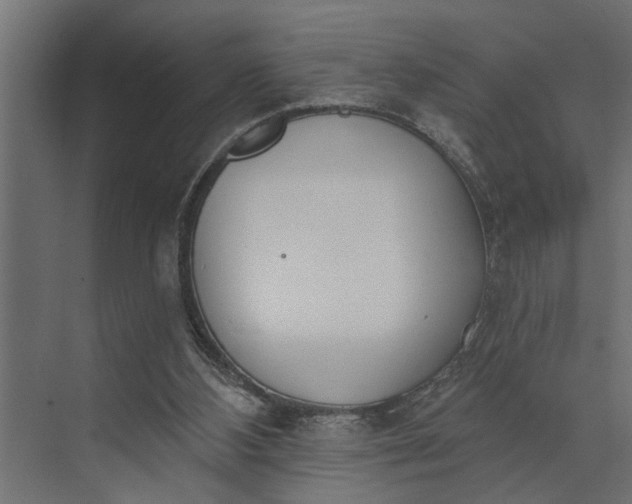 X0000073870108200608241145