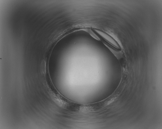 X0000073870109200608241145