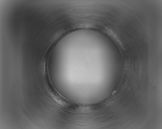 X0000073870110200608241145