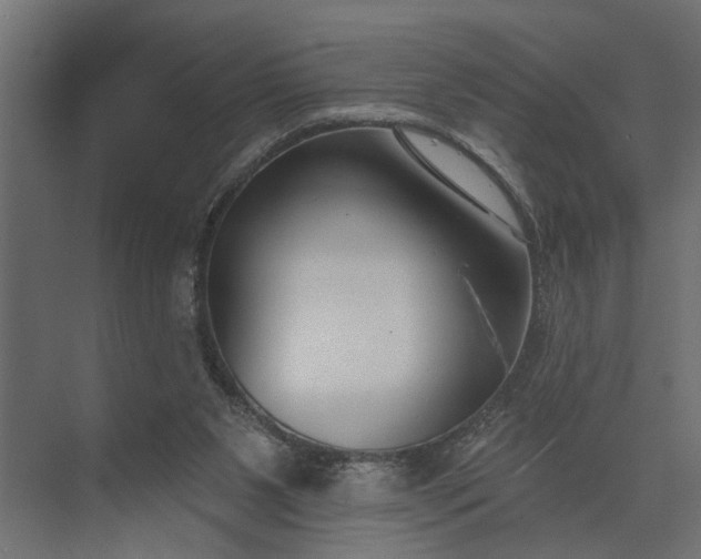 X0000073870111200608241145