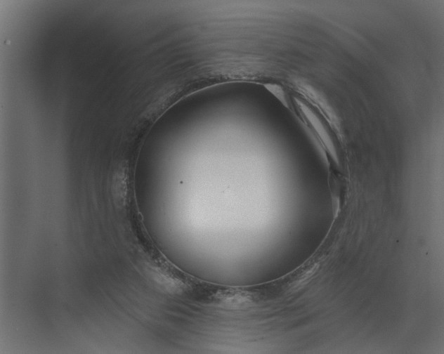 X0000073870113200608241145