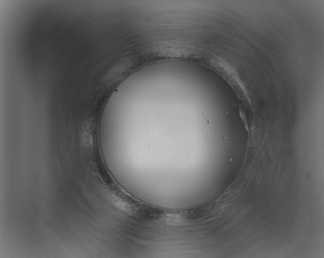 X0000073870114200608241145