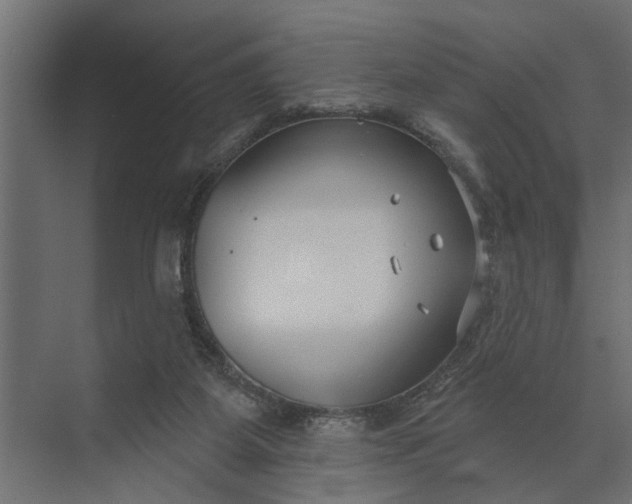 X0000073870115200608241145