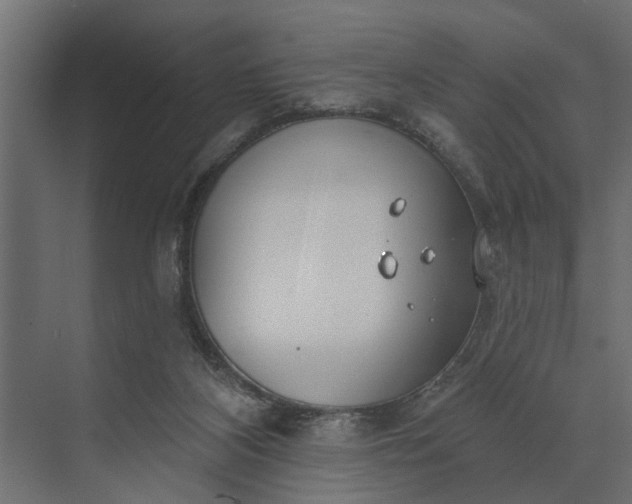 X0000073870116200608241145