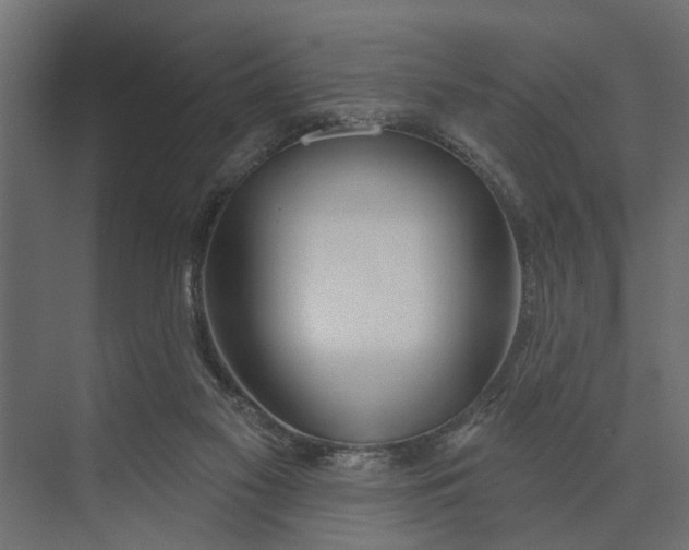 X0000073870117200608241144