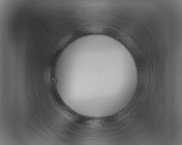 X0000073870120200608241144