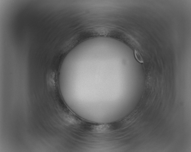 X0000073870122200608241144