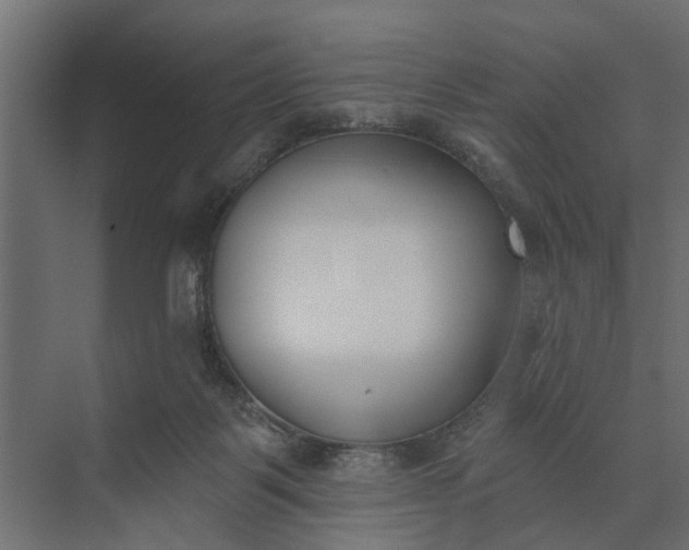 X0000073870123200608241144