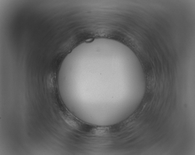 X0000073870126200608241144