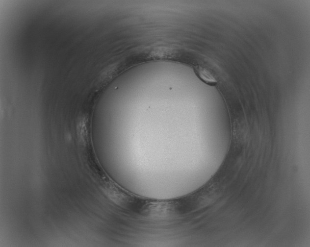 X0000073870127200608241144