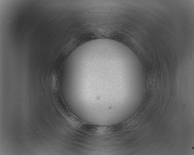 X0000073870130200608241144