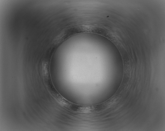 X0000073870131200608241144