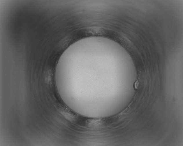 X0000073870132200608241144