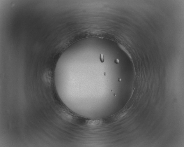 X0000073870135200608241144