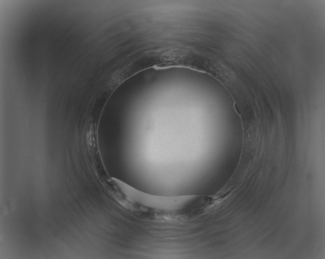 X0000073870137200608241144