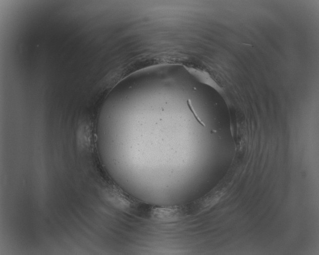 X0000073870139200608241144