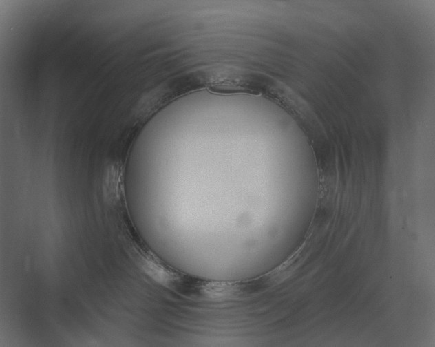 X0000073870142200608241144